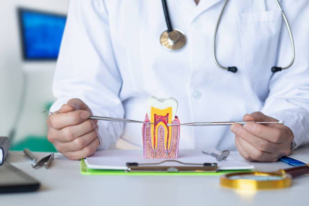 Best Emergency Orthodontic Services in Hamshire, TX